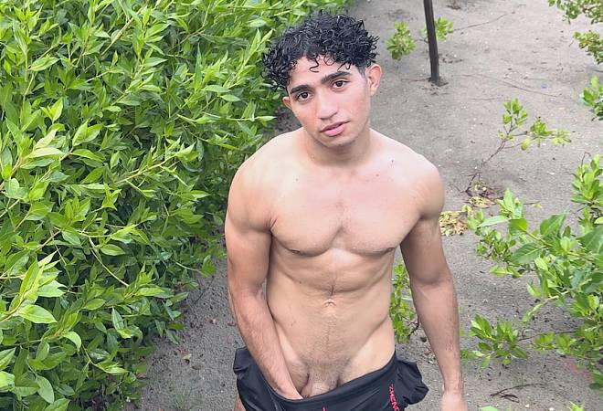 owl-carousel-video-image